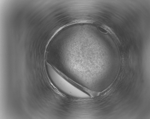 X0000052571236200507152244