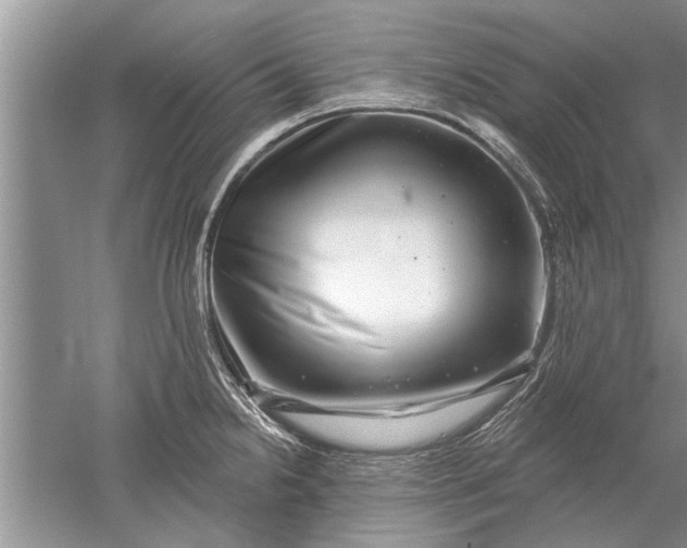 X0000052571238200507152244