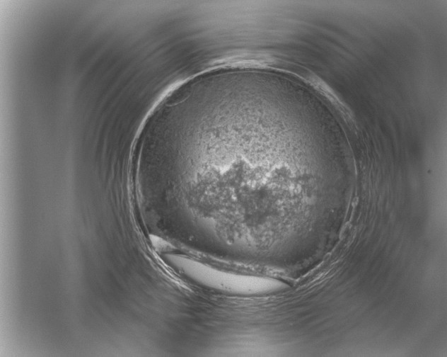 X0000052571240200507152244