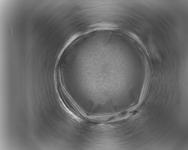 X0000052571243200507152244