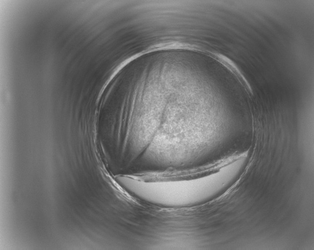 X0000052571244200507152244