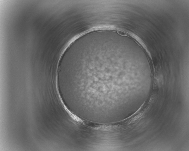 X0000052571245200507152244