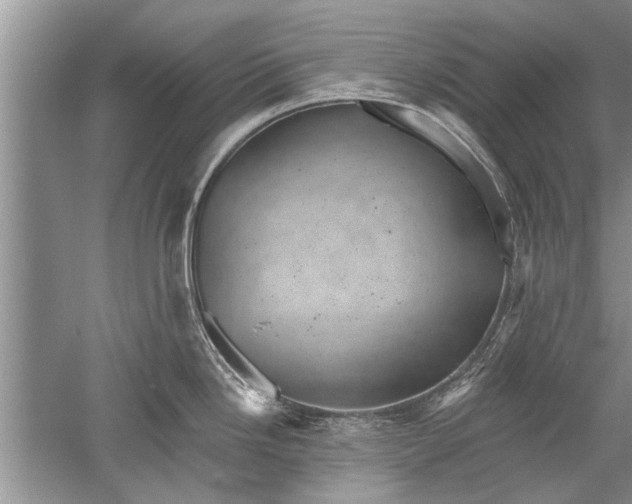 X0000052571246200507152244