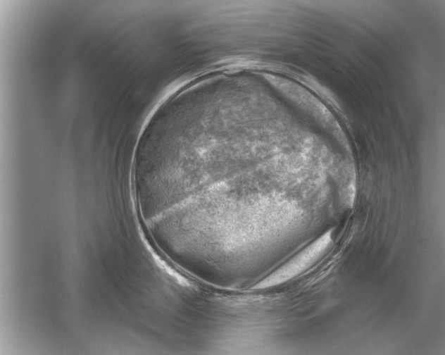 X0000052571247200507152244