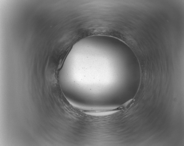 X0000052571250200507152243