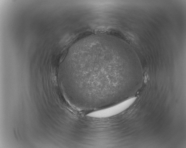 X0000052571252200507152243