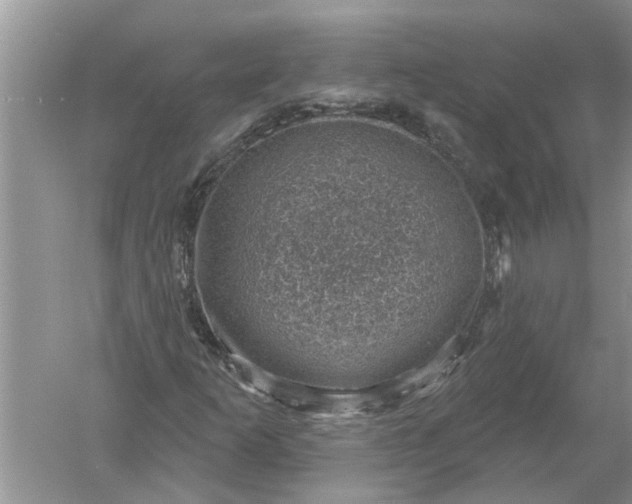 X0000052571253200507152243