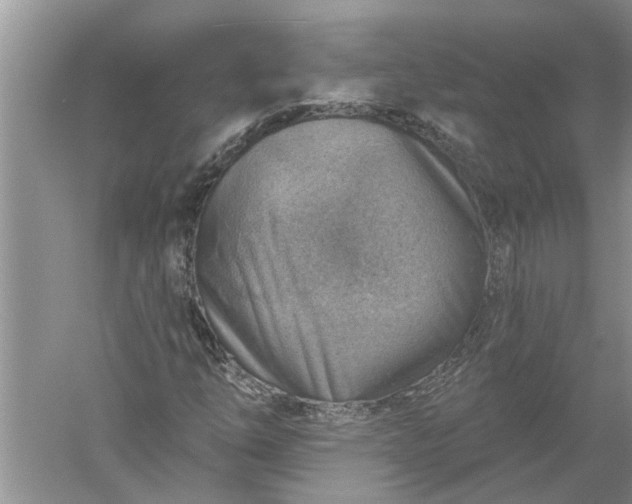 X0000052571254200507152243