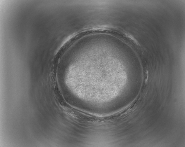 X0000052571256200507152243