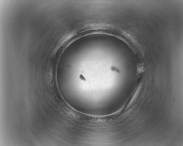 X0000052571261200507152243