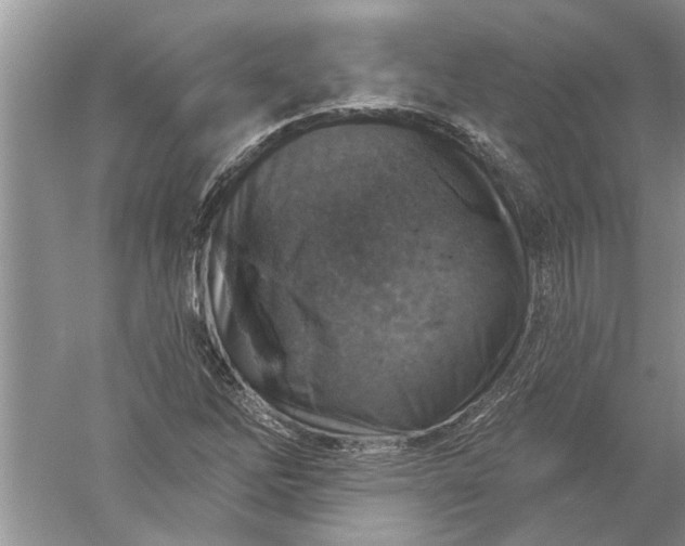 X0000052571262200507152243