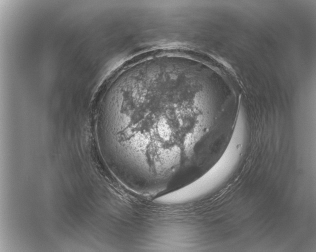 X0000052571263200507152243