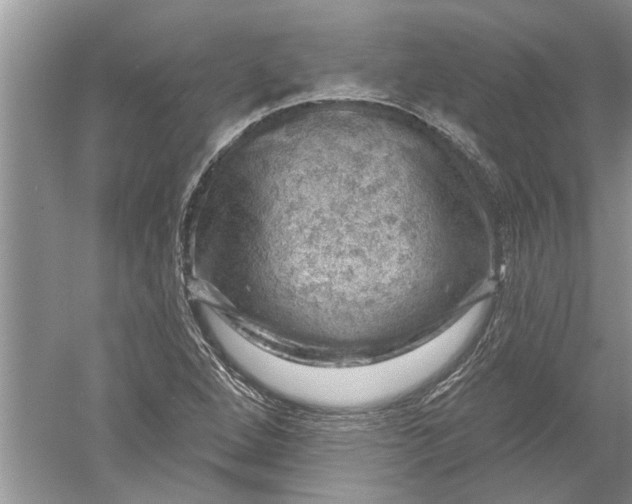 X0000052571264200507152243