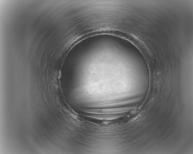 X0000052571265200507152243