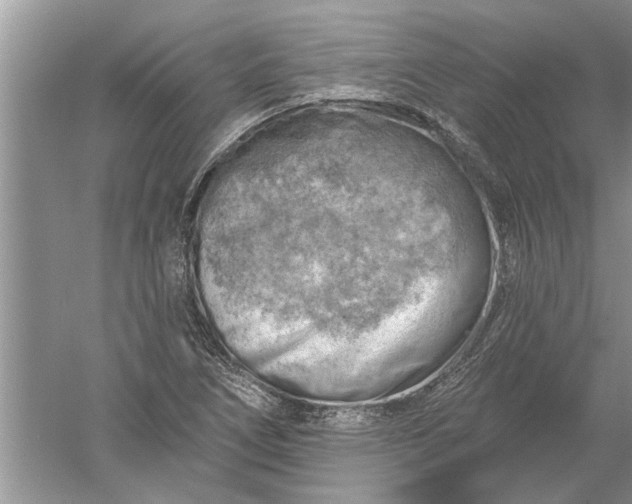 X0000052571266200507152243