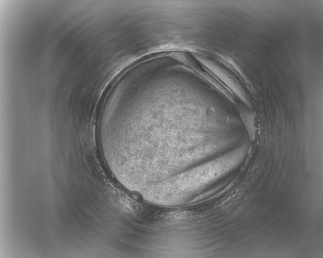 X0000052571268200507152243