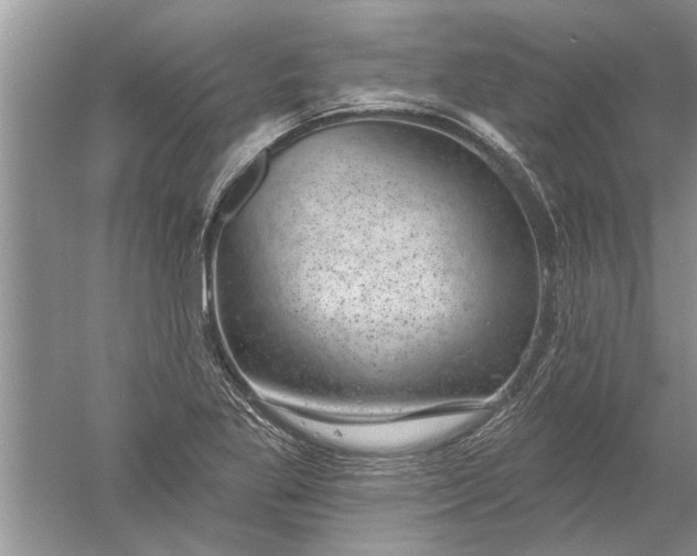 X0000052571269200507152243