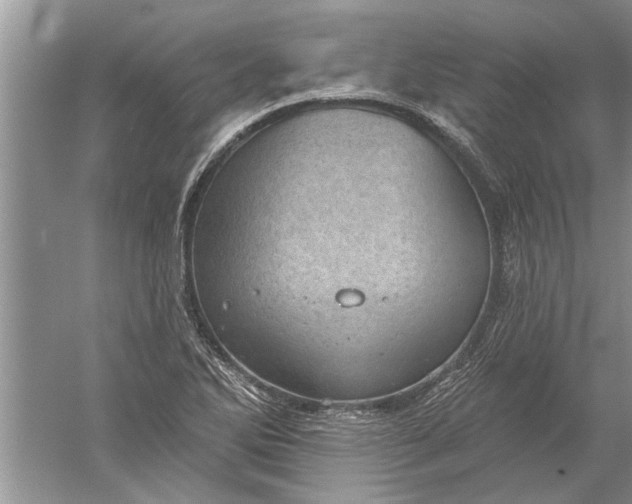 X0000052571270200507152243