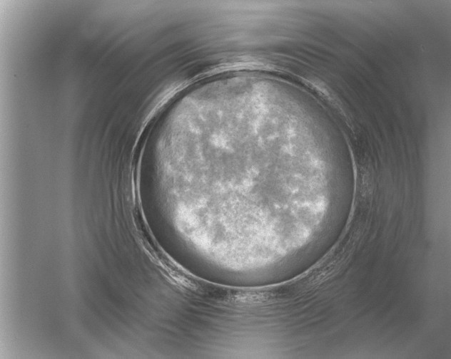 X0000052571274200507152243