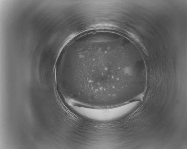 X0000052571275200507152243