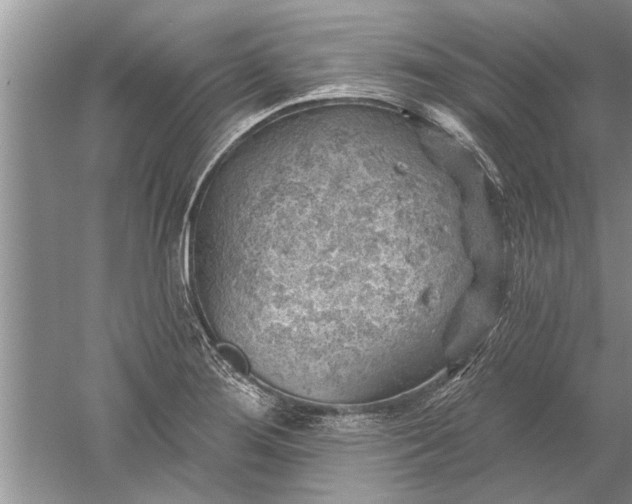 X0000052571276200507152242