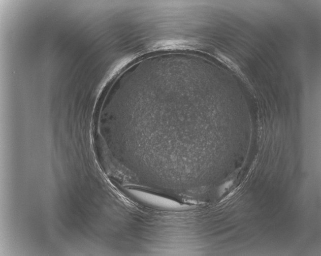 X0000052571277200507152242