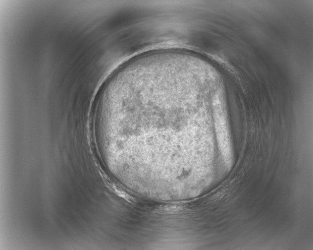 X0000052571278200507152242