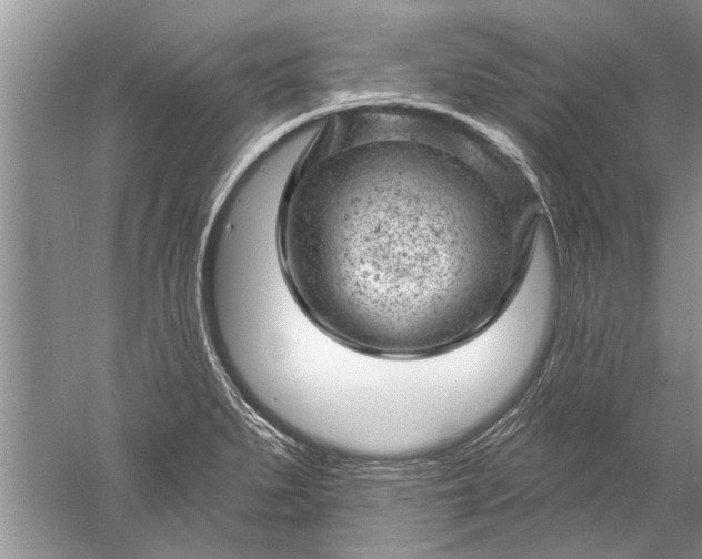 X0000052571279200507152242