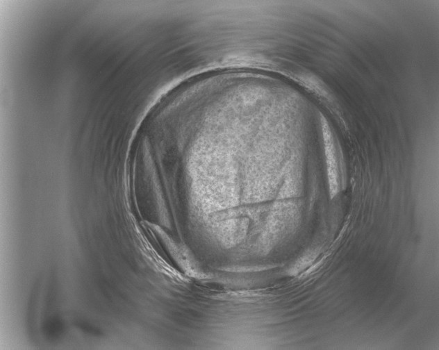 X0000052571280200507152242