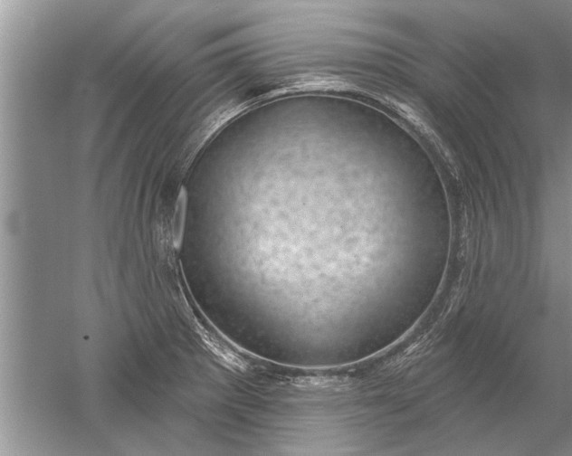 X0000052571281200507152242