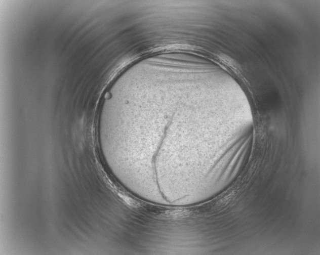 X0000052571282200507152242