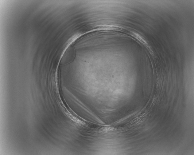 X0000052571283200507152242