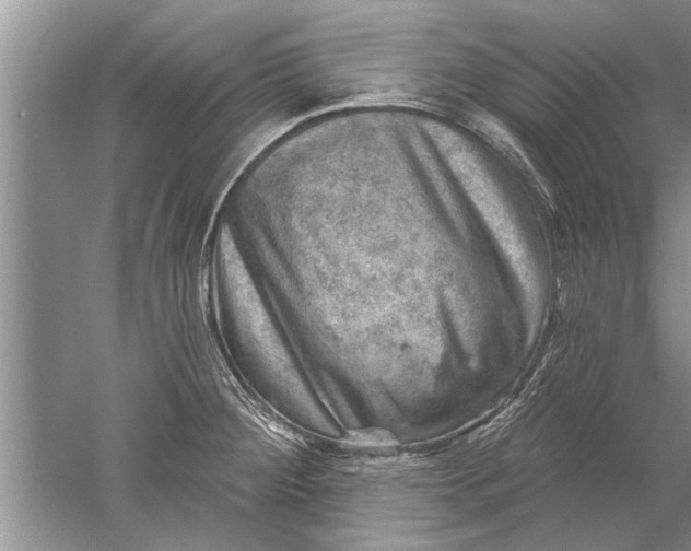 X0000052571284200507152242