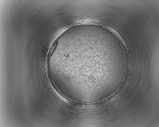 X0000052571285200507152242