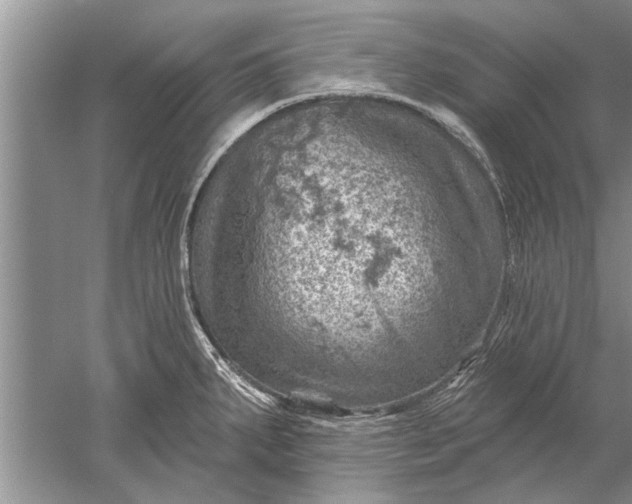 X0000052571287200507152242