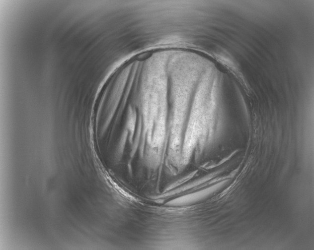 X0000052571288200507152242