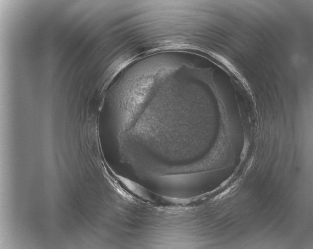 X0000052571289200507152242