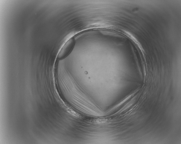 X0000052571291200507152242