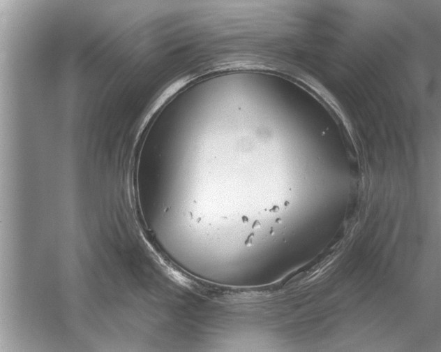 X0000052571293200507152242