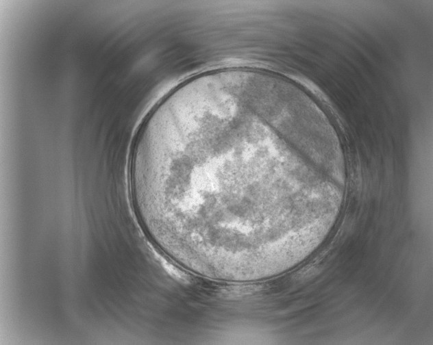 X0000052571294200507152242