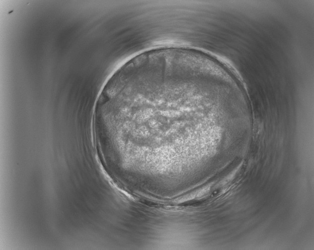 X0000052571295200507152242