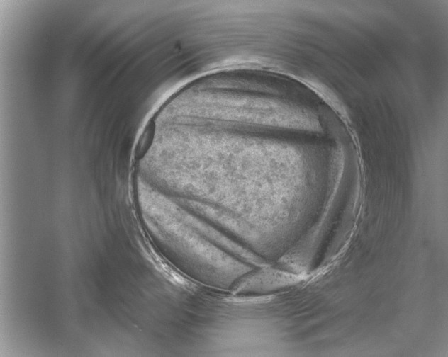 X0000052571296200507152242