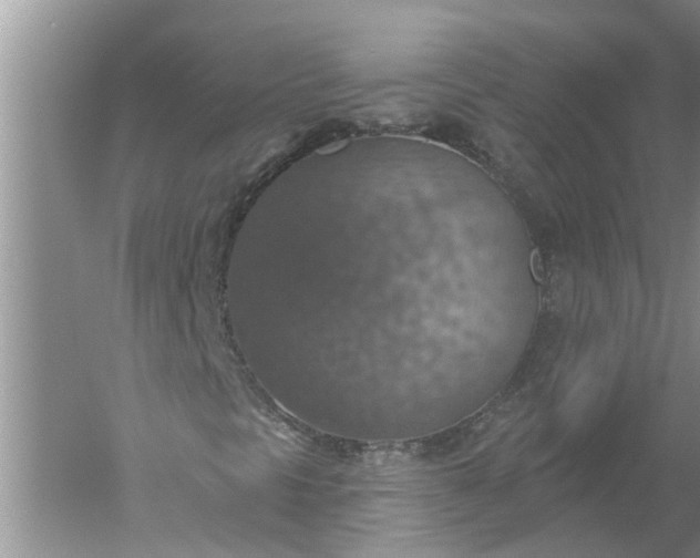 X0000052571297200507152241