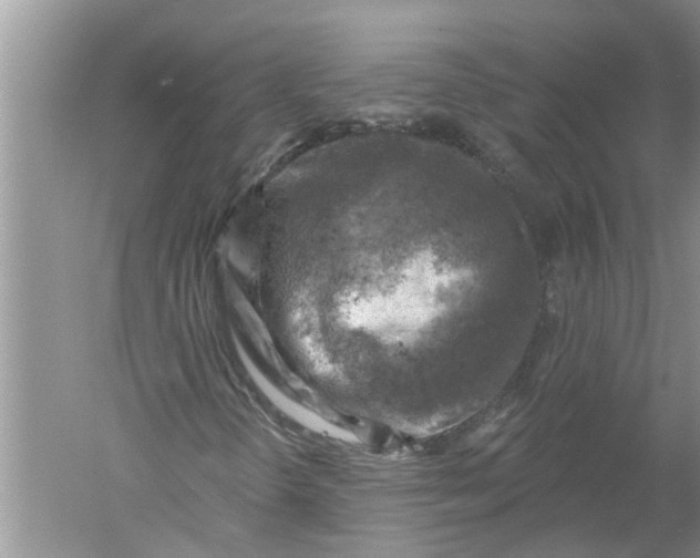 X0000052571298200507152241