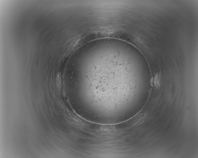 X0000052571299200507152241