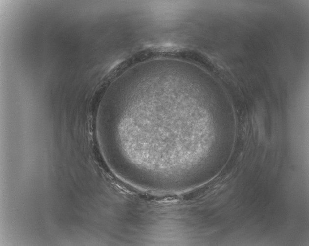 X0000052571301200507152241