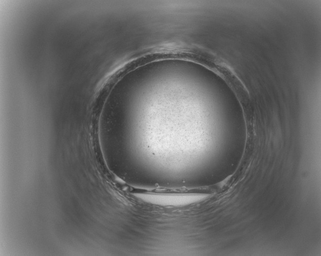 X0000052571304200507152241