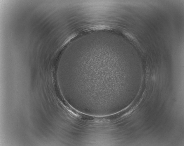 X0000052571305200507152241