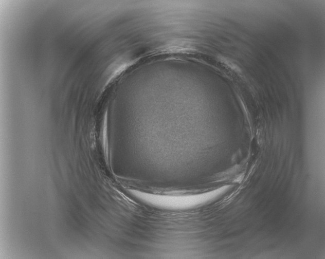 X0000052571306200507152241