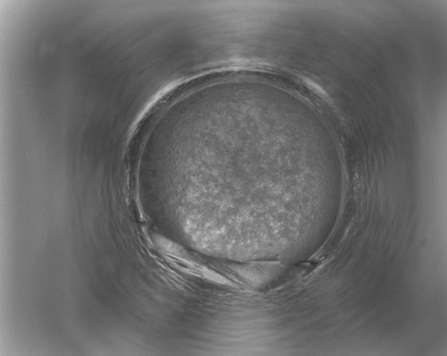 X0000052571310200507152242